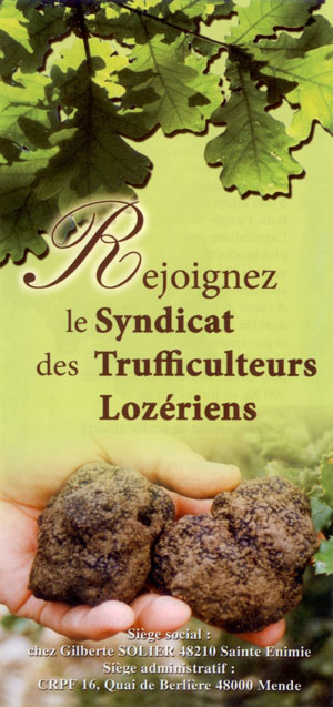 truffes1.jpg