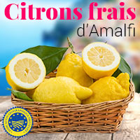 citrons-amalfi